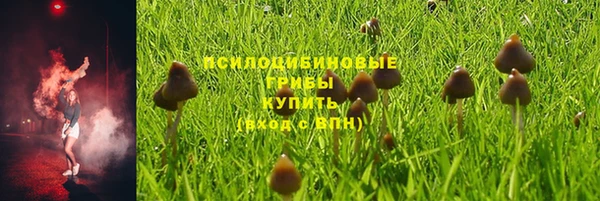 ешки Беломорск