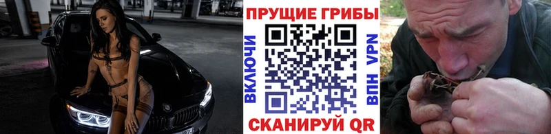 Галлюциногенные грибы Psilocybine cubensis  Салаир 
